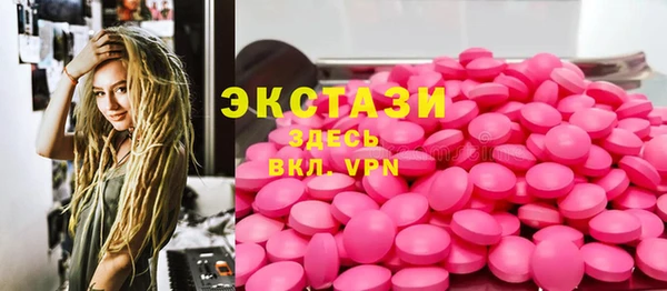 ECSTASY Богородицк